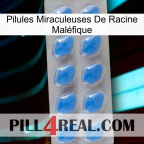 Pilules Miraculeuses De Racine Maléfique 22
